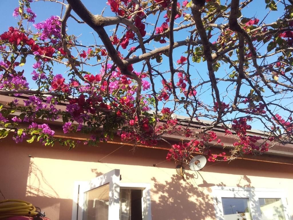 L'alberghetto Holiday home Milazzo